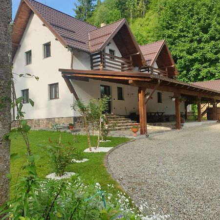 Pensiunea Cheile Repezii Borşa Exterior foto